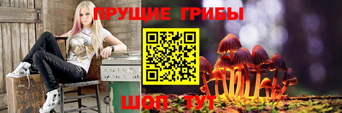 Отрадное  Псилоцибиновые грибы прущие грибы  Вход с VPN 